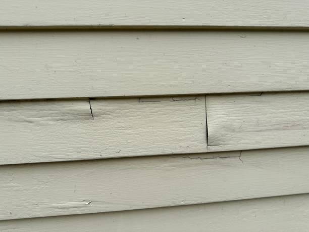 Best Custom Siding Design  in Sandstone, MN